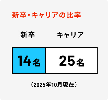 新卒・キャリアの比率 新卒14名 キャリア25名（2025年10月現在）